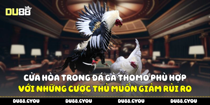 Cửa Hòa trong đá gà Thomo phù hợp với những hội viên muốn giảm rủi ro