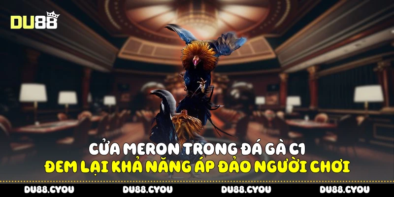 Cửa meron trong đá gà C1 đem lại khả năng áp đảo người chơi