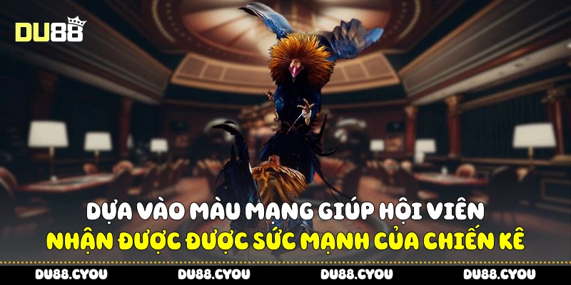 Dựa vào màu mạng giúp hội viên nhận được được sức mạnh của chiến kê