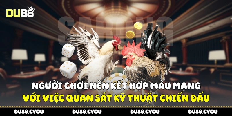 Người chơi nên kết hợp màu mạng với việc quan sát kỹ thuật chiến đấu